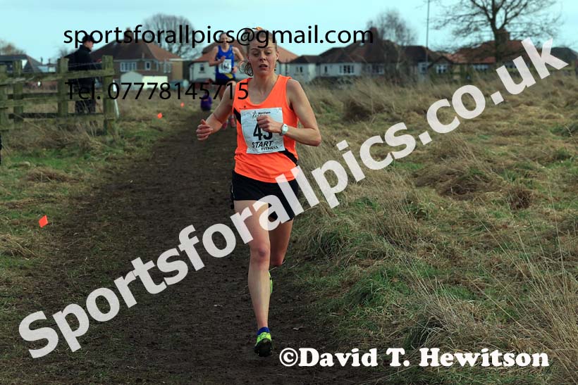 Senior Womens 2024 Northern Cross Country Champs., Sedgefield. Photo: David T. Hewitson/Sports for All Pics